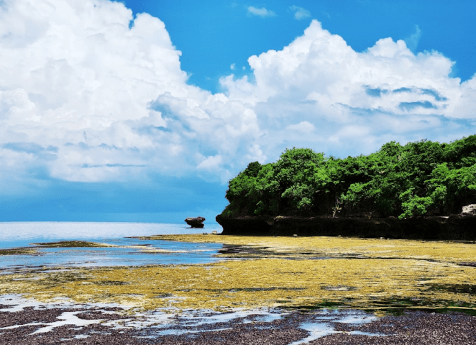 Tropical beach with rocky shore and blue sky