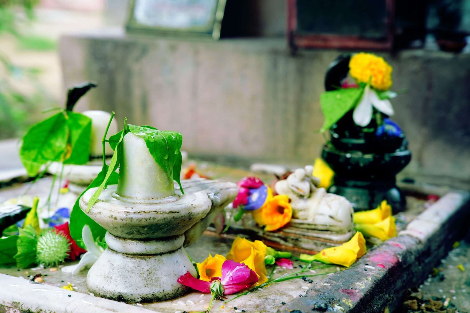 Pancha Jyotirlinga Tour
