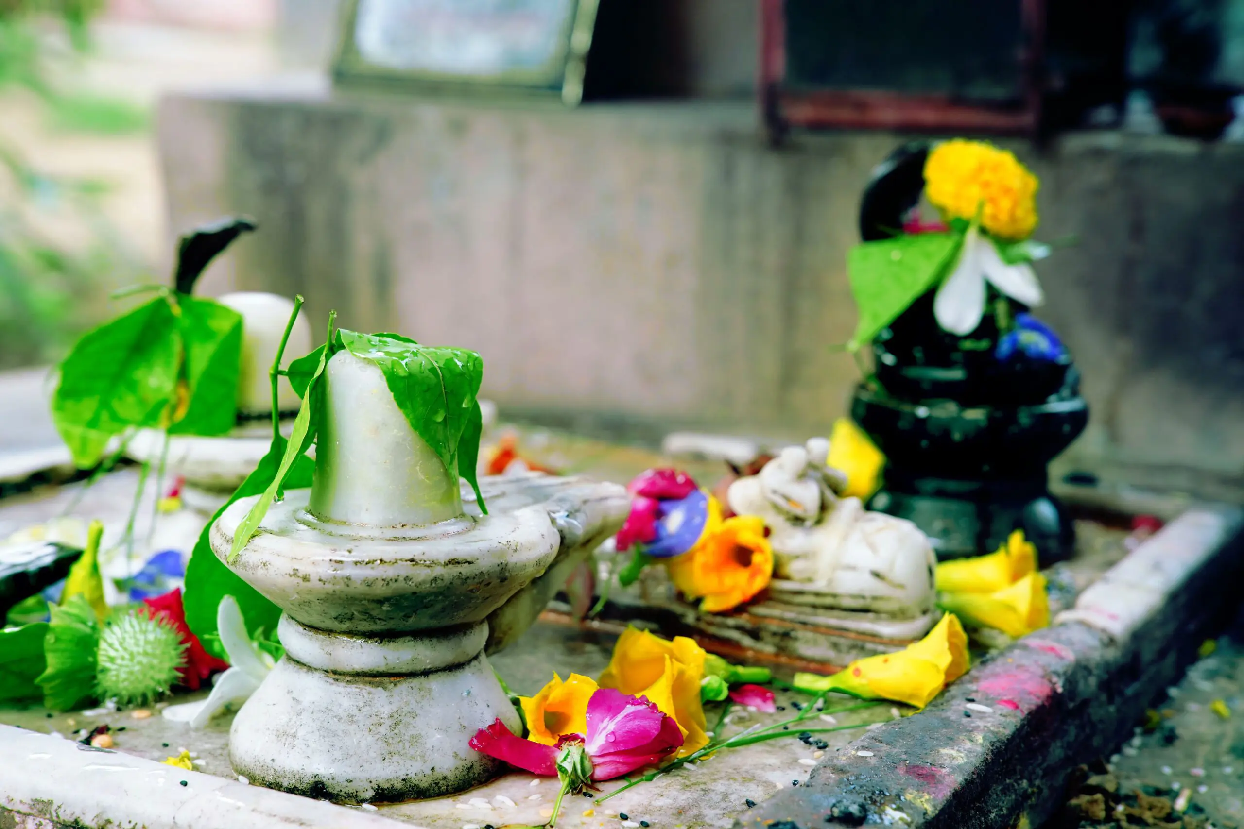 Pancha Jyotirlinga Tour